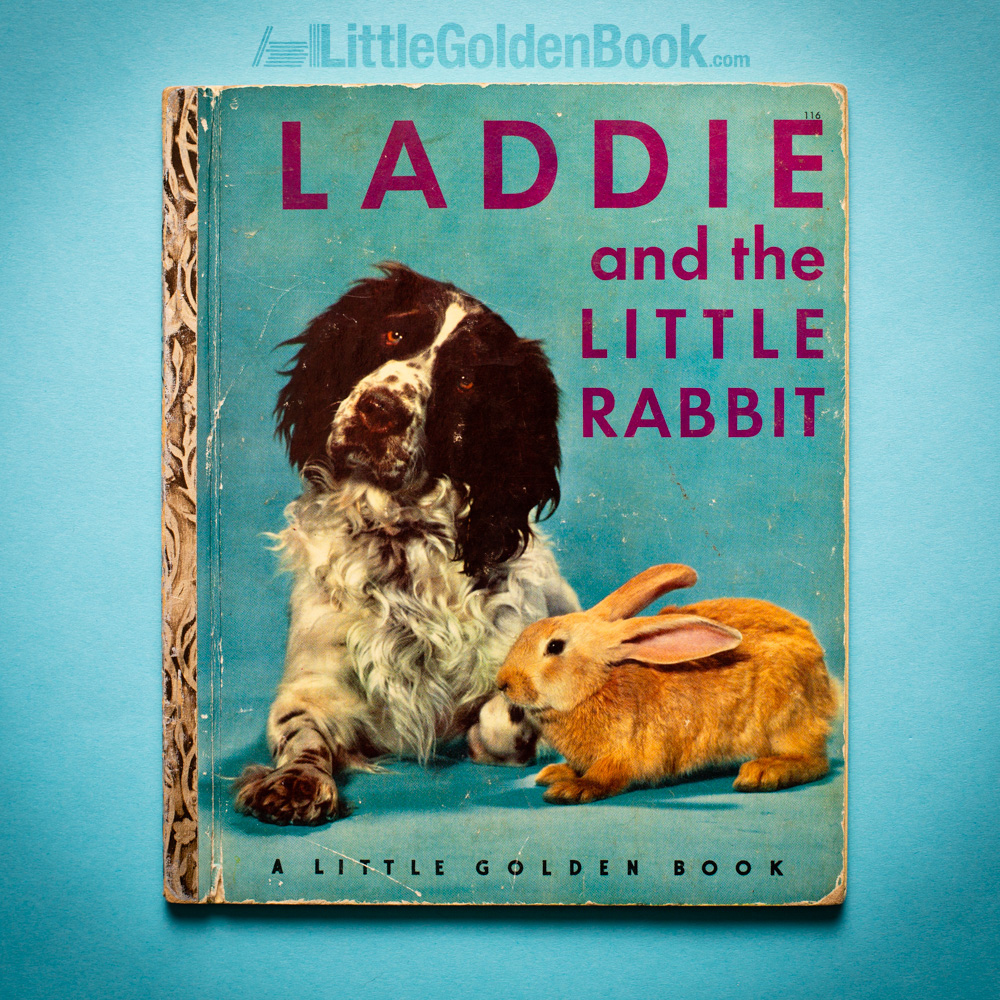 Photo of the Little Golden Book "Laddie and the Little Rabbit"