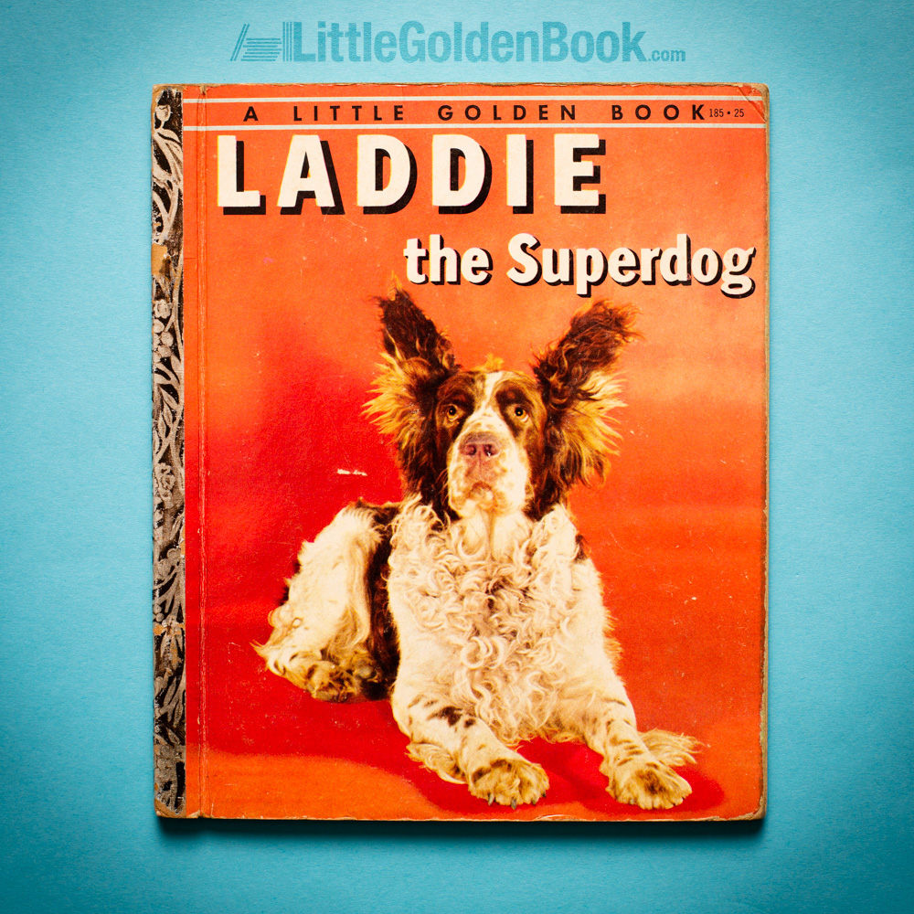 Photo of the Little Golden Book "Laddie the Superdog"