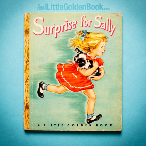 Photo of the Little Golden Book "Surprise for Sally"