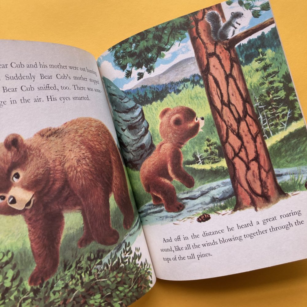 Photo of the Little Golden Book "Smokey the Bear"