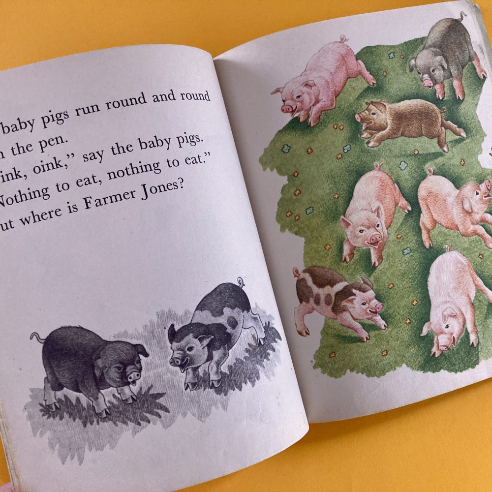 Photo of the vintage Little Golden Book "The Animals of Farmer Jones"